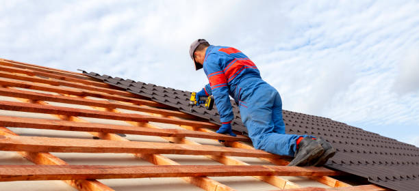 Best Roof Maintenance and Cleaning  in Enterprise, UT